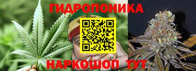 гашик Кунгур
