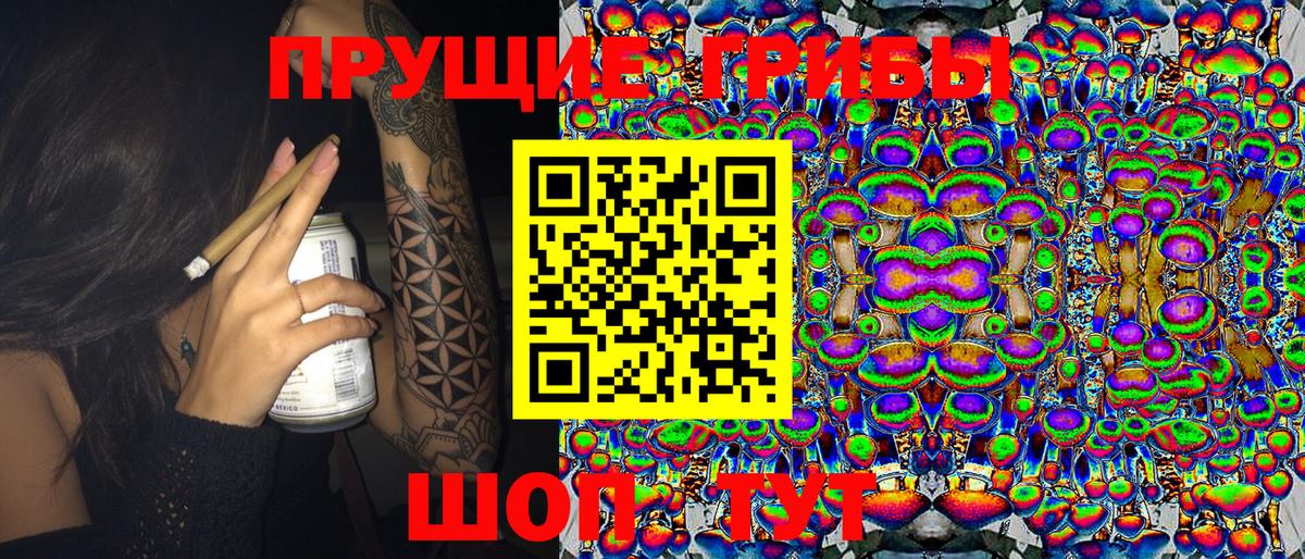 Галлюциногенные грибы MAGIC MUSHROOMS  Вход с VPN  Галлюциногенные грибы Psilocybine cubensis  Жуковский 